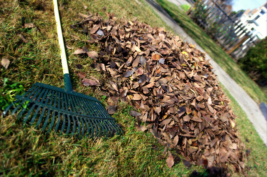 Take These 14 Steps to Make a Better Landscape