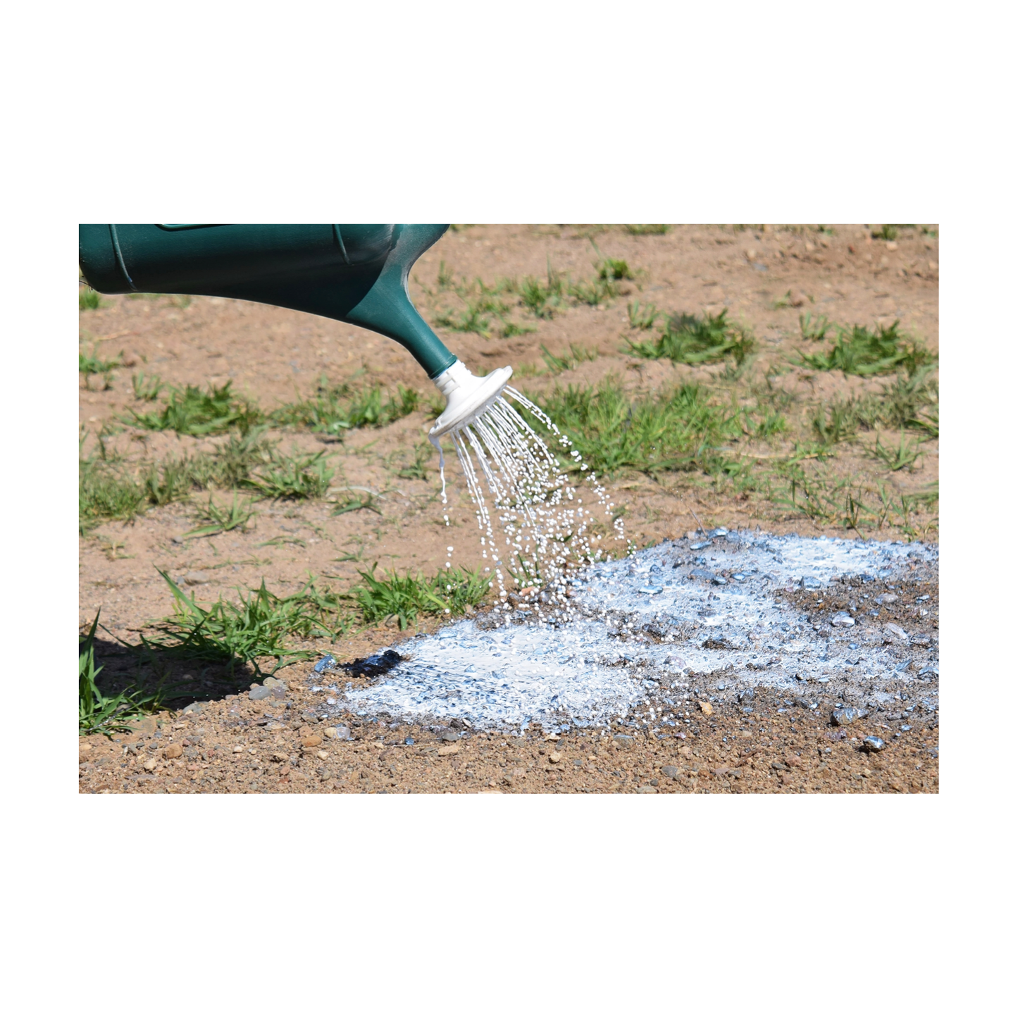 dg stabilizer topical application