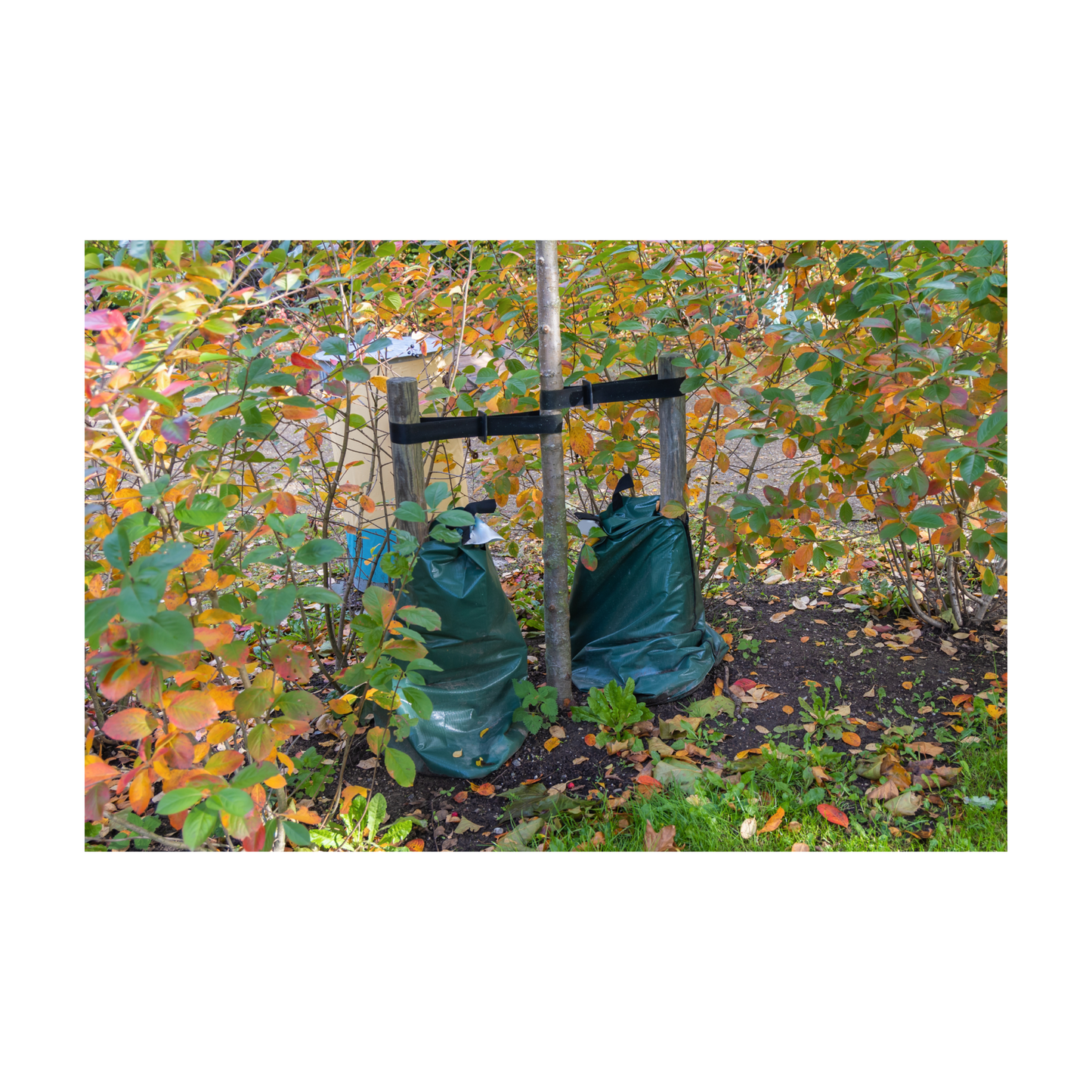 15 Gallon Tree Watering Bag