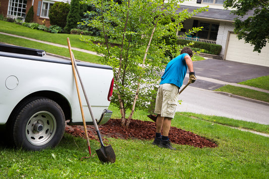Minimize Time and Energy in Your Yard