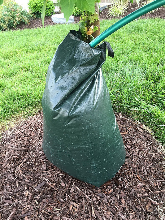 filling up tree watering bag 20 gallons