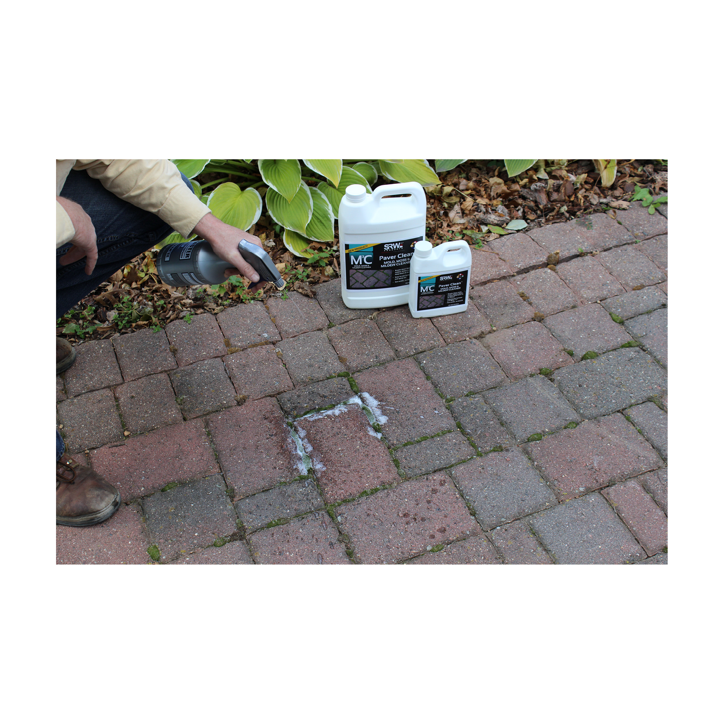 Spraying m3c cleaner onto paver patio to remove moss