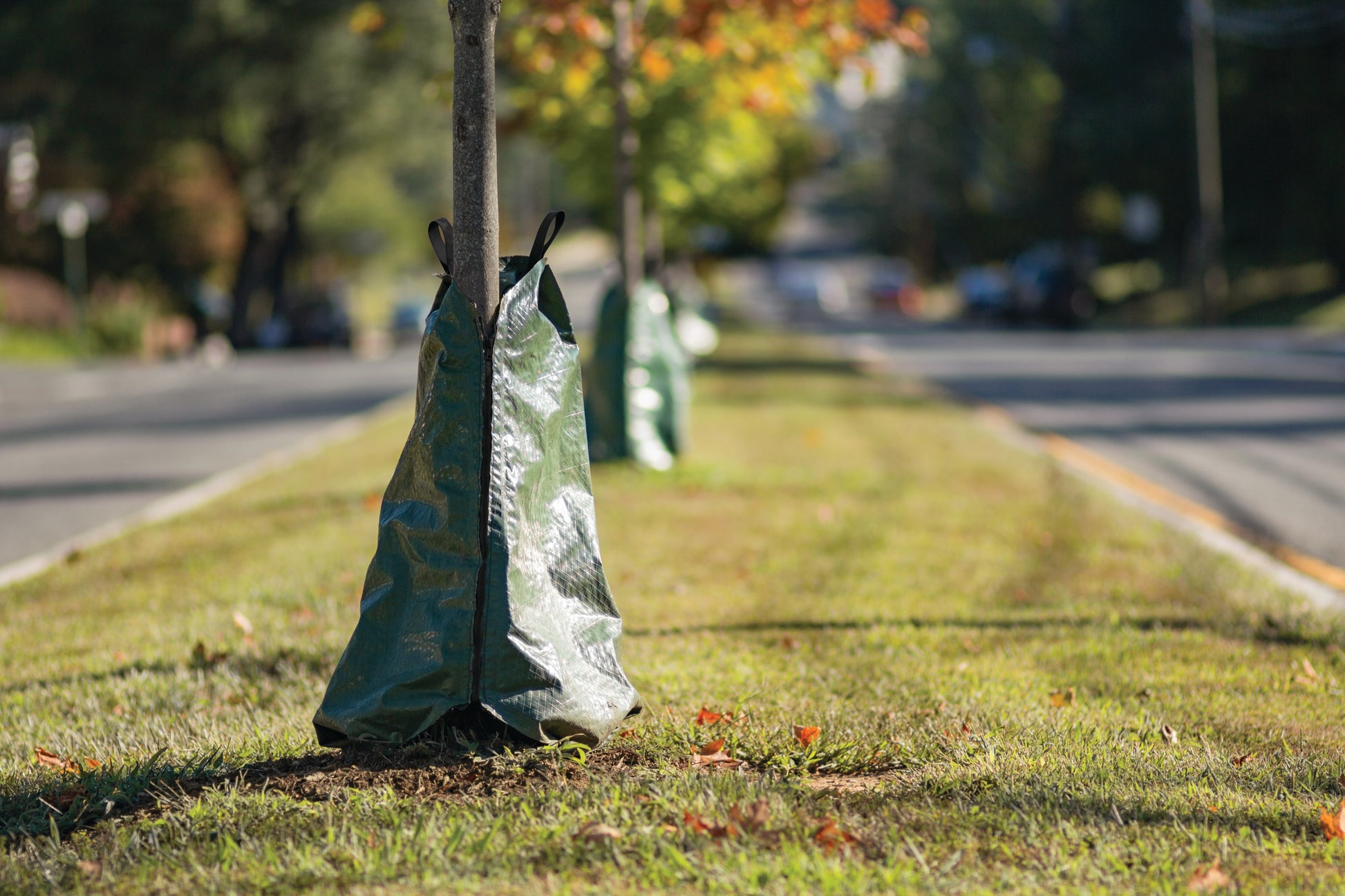 arbor rain bag Garden Armor 20 Gallon Slow-Release Tree Watering Bag